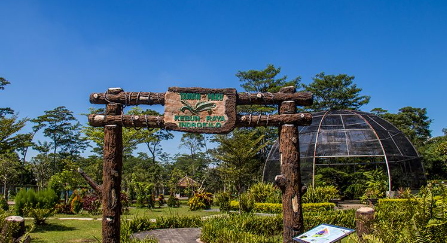 Taman Paku di Kebun Raya Indrokilo, Boyolali.