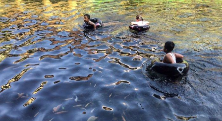 Sejumlah Anak berenang Di Kolam Jalan Kalitaman, Kecamatan Sidorejo Kota Salatiga