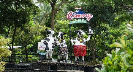 Cimory On The Valley