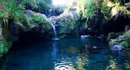 Telaga Sunyi mempunyai kolam yang bening, airnya bersih berwarna biru tosca yang memiliki kedalaman air mencapai 3 meter.