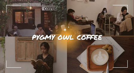 Pygmy Owl Coffee, Semarang
