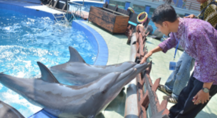 Batang Dolphin Center di Kabupaten Batang 