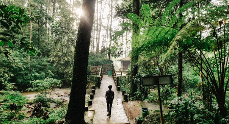 Air Terjun Grojogan Sewu di Tawangmangu