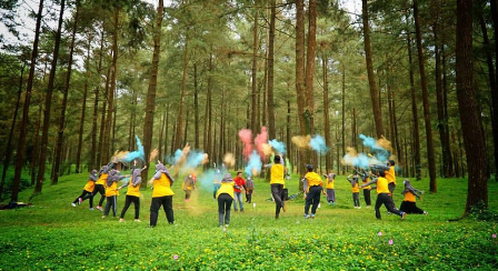 hutan pinus limpakuwus