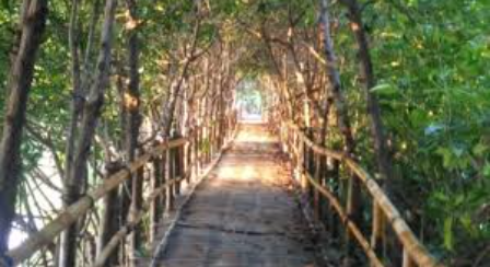 ilustrasi hutan mangrove