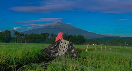 Desa Wisata Tingkir Lor