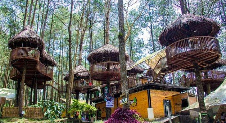 Kopeng Treetop Sky Resto