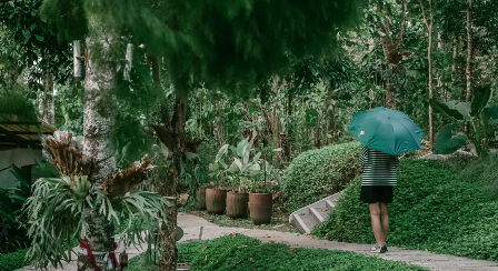 Boemisora Salatiga