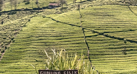 Keindahan Gunung CIlik Kaliurip 