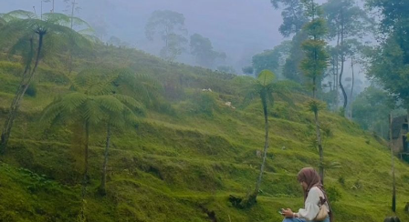 Hamparan Hijau Kebun Teh Pagilaran, Pesona Alam Batang