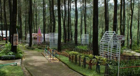 Hutan Pinus Asri di Sikembang Park Batang