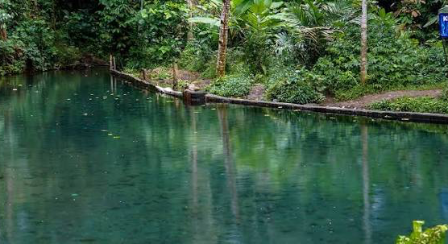 Kalau biasanya orang mencari sungai untuk didatangi saat musim hujan, Kali Odo justru punya cerita yang berbeda: semakin kering cuacanya, semakin mena