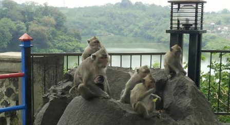 Pemandangan Goa Kreo di kawasan Waduk Jatibarang, Semarang, yang menjadi salah satu destinasi wisata alam dan budaya di Kota Semarang.