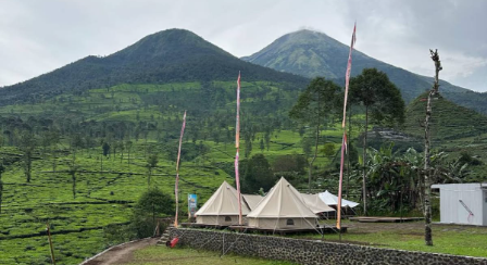 Sikembang Glamping Wonosobo menawarkan pengalaman menginap di tengah suasana pegunungan dengan panorama hijau dan perkebunan teh.