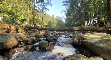 Cari tempat buat healing tanpa suasana yang terlalu ramai? ? Desa Wisata Pinusan Separe bisa jadi pilihan. Hutan pinus, udara sejuk, dan aliran sungai