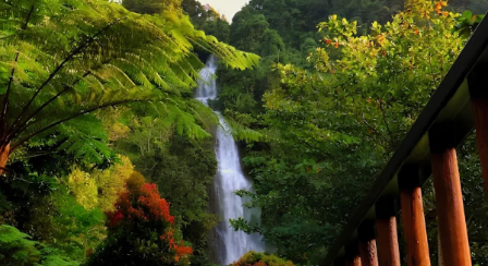 Curug Pletuk di Desa Pesangkalan, Banjarnegara, menawarkan panorama air terjun tinggi yang dikelilingi kawasan hutan hijau.