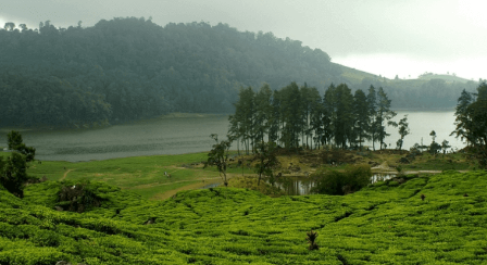Telaga Rengganis di Desa Gapura, Watukumpul, Pemalang, dikelilingi pepohonan pinus dan kawasan perbukitan yang sejuk.