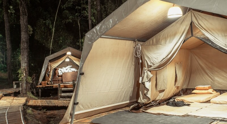 De’Loano Glamping menawarkan pengalaman menginap di tengah hutan pinus kawasan Perbukitan Menoreh, Purworejo.