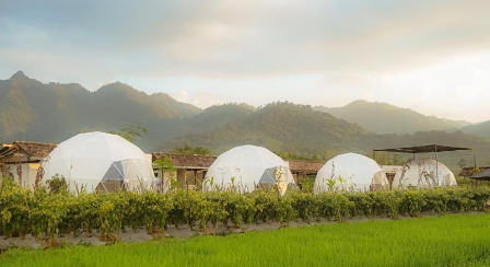 Borobudur Luxury Glamping menawarkan pengalaman menginap di dome tent dengan suasana alam kawasan Borobudur.