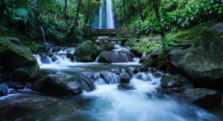 Nggak perlu jauh-jauh ke luar Jawa buat nemuin sungai sebening ini! ??  Welo Asri di Petungkriyono, Pekalongan, menawarkan suasana alam hijau dengan a