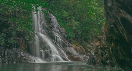 Tebing, sungai, dan suasana hijau dalam satu tempat! ??  Black Canyon Petungkriyono bisa jadi pilihan buat kamu yang ingin menikmati wisata alam denga