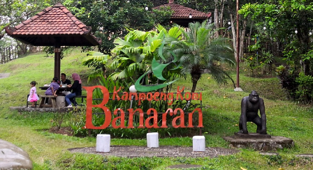 Hamparan perkebunan kopi dan panorama alam di Kampoeng Kopi Banaran, destinasi agrowisata di Kabupaten Semarang.
