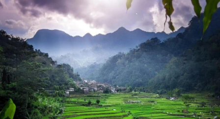 Pemandangan persawahan dan perbukitan di Desa Wisata Tempur, Kecamatan Keling, Jepara, yang menawarkan pengalaman wisata alam di lereng Pegunungan Mur